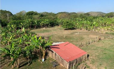 FINCA EN VENTA, ARENAL, BOLIVAR