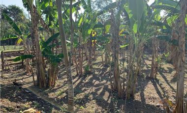 FINCA EN VENTA, ARENAL, BOLIVAR