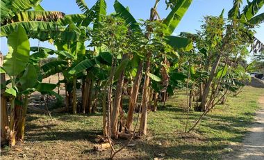 FINCA EN VENTA, ARENAL, BOLIVAR