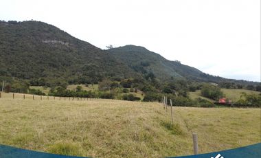 Vendo Lote de 6.400mts en Tabio Rio Frio Occidental