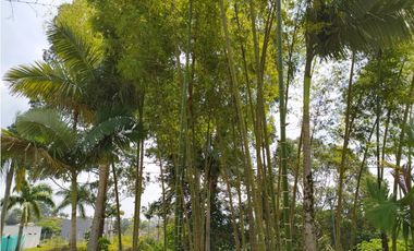 VENTA HERMOSO LOTE CONDINA, VIA ARMENIA - PEREIRA