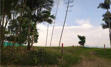 VENTA HERMOSO LOTE CONDINA, VIA ARMENIA - PEREIRA