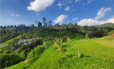 casa finca campestre en venta Guarne, 12.800 m2, dos casas