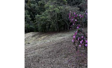 VENDO LOTE EN MARINILLA 3.900 MTS CERCA DE AUTOPISTA CH