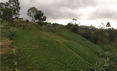 VENTA AMPLIA FINCA CON HERMOSA VISTA VIA ARMENIA PEREIRA