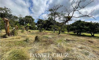 SE ALQUILA PARCELA PRODUCTIVA V. SANTA ROSA - POPAYN