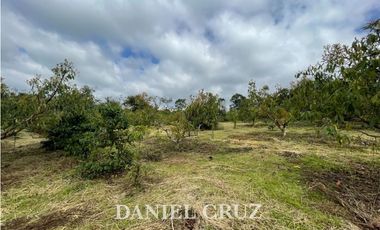 SE ALQUILA PARCELA PRODUCTIVA V. SANTA ROSA - POPAYN