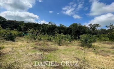 SE ALQUILA PARCELA PRODUCTIVA V. SANTA ROSA - POPAYN