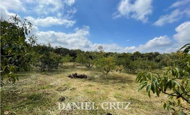 SE ALQUILA PARCELA PRODUCTIVA V. SANTA ROSA - POPAYN