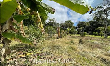 SE ALQUILA PARCELA PRODUCTIVA V. SANTA ROSA - POPAYN