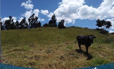 Vendo Lote de 2.774mts en Tabio Juaica