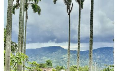 Finca en venta en Copacabana Vereda El Zarzal