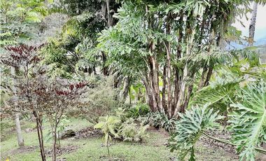 Finca en venta en Copacabana Vereda El Zarzal