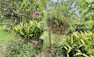 Finca en venta en Copacabana Vereda El Zarzal