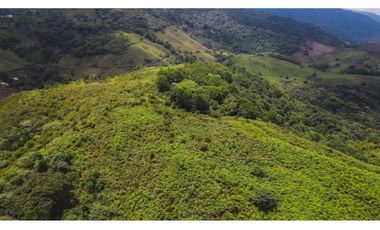 La Buitrera Lote terreno para parcelar en venta Palmira Valle Colombia