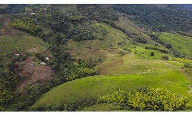 La Buitrera Lote terreno para parcelar en venta Palmira Valle Colombia