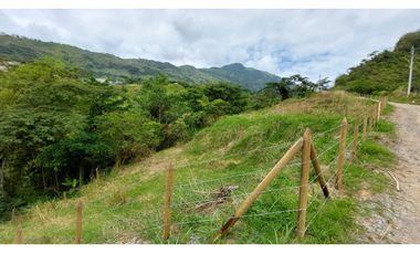 Lote con excelente vista en venta en Titiribí