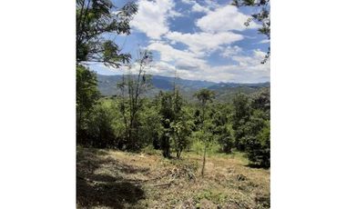 Finca De 1 Hectárea En La Mesa Cundi