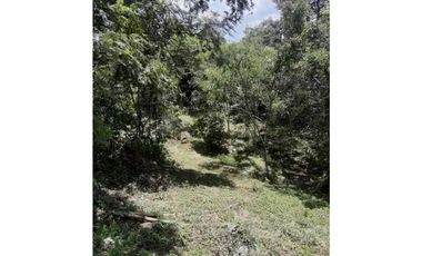 Finca De 1 Hectárea En La Mesa Cundi