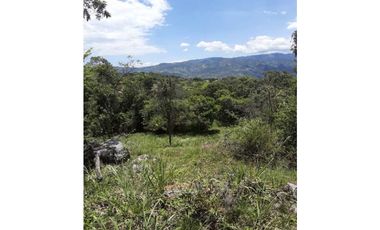 Finca De 1 Hectárea En La Mesa Cundi