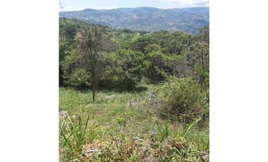 Finca De 1 Hectárea En La Mesa Cundi
