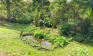 Maat vende Casa Campestre, La Magdalena-Villeta 3.904m2 $370Millones