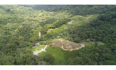 Venta de lotes campestres en Minca Santa Marta