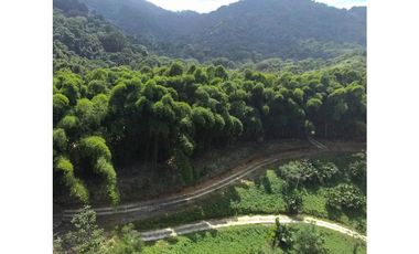 Venta de lotes campestres en Minca Santa Marta