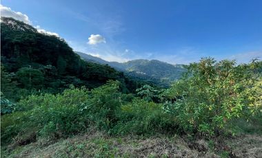 Venta de lotes campestres en Minca Santa Marta