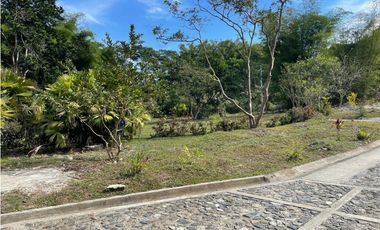 Venta de lotes campestres en Minca Santa Marta