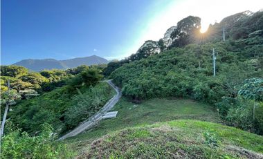 Venta de lotes campestres en Minca Santa Marta
