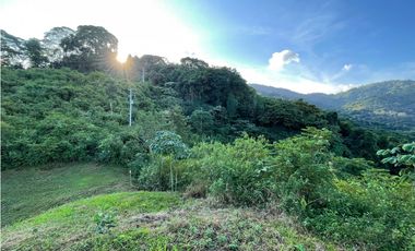 Venta de lotes campestres en Minca Santa Marta