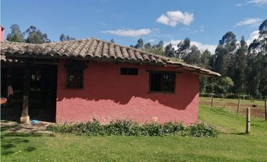 FINCA CAMPESTRE AGROPECUARIA