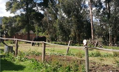 FINCA CAMPESTRE AGROPECUARIA