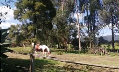 FINCA CAMPESTRE AGROPECUARIA