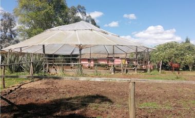 FINCA CAMPESTRE AGROPECUARIA