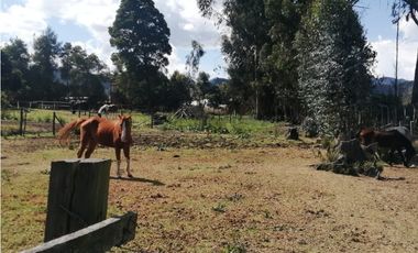 FINCA CAMPESTRE AGROPECUARIA