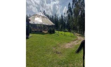 FINCA CAMPESTRE AGROPECUARIA