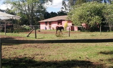 FINCA CAMPESTRE AGROPECUARIA
