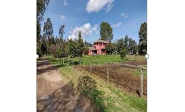 FINCA CAMPESTRE AGROPECUARIA