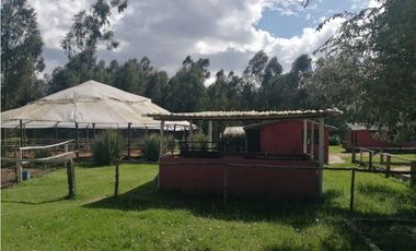 FINCA CAMPESTRE AGROPECUARIA