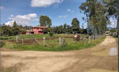 FINCA CAMPESTRE AGROPECUARIA