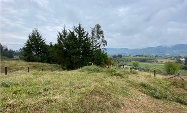 VENDO LOTE CON HERMOSA VISTA SECTOR EL CARMEN DE VIBORAL