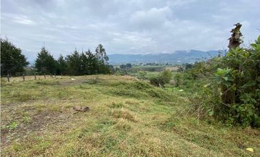 VENDO LOTE CON HERMOSA VISTA SECTOR EL CARMEN DE VIBORAL