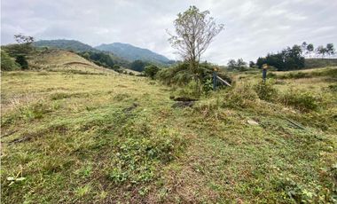 VENDO LOTE CON HERMOSA VISTA SECTOR EL CARMEN DE VIBORAL