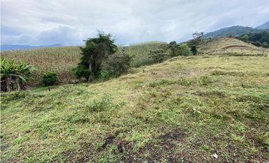 VENDO LOTE CON HERMOSA VISTA SECTOR EL CARMEN DE VIBORAL