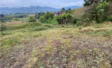 VENDO LOTE CON HERMOSA VISTA SECTOR EL CARMEN DE VIBORAL