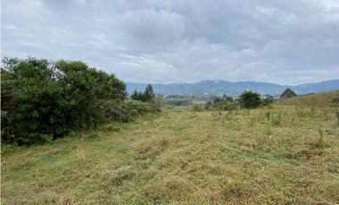 VENDO LOTE CON HERMOSA VISTA SECTOR EL CARMEN DE VIBORAL