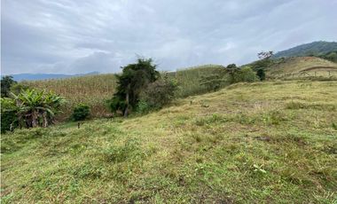VENDO LOTE CON HERMOSA VISTA SECTOR EL CARMEN DE VIBORAL