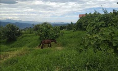Lote Campestre De 1500 M² En La Mesa Cundi